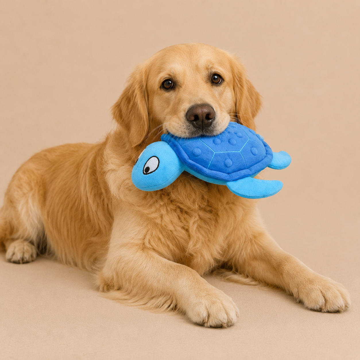 Squeaky Sea Turtle Plush Dog Toy