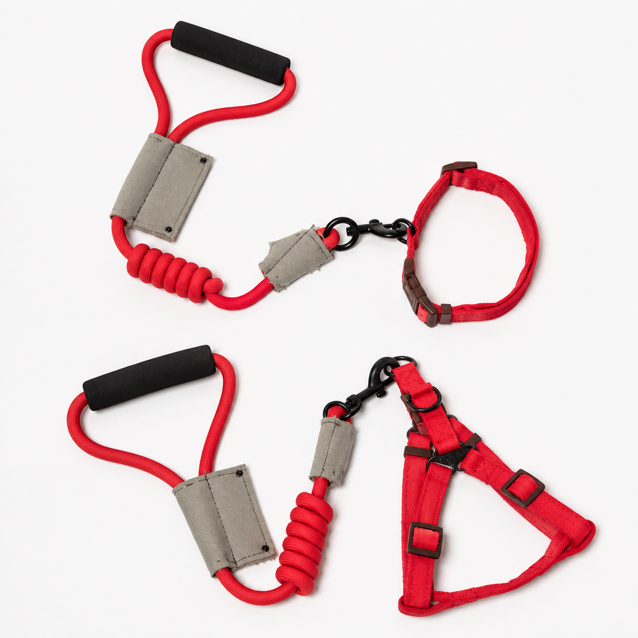Dog Leash With Collar Or Harness