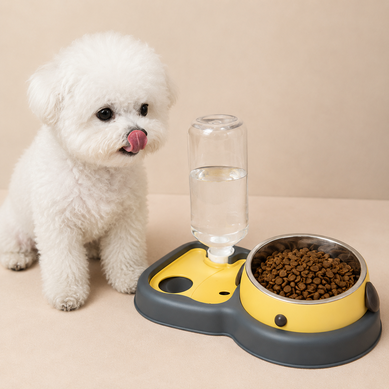 Protect Cervical Spine Dog Bowl