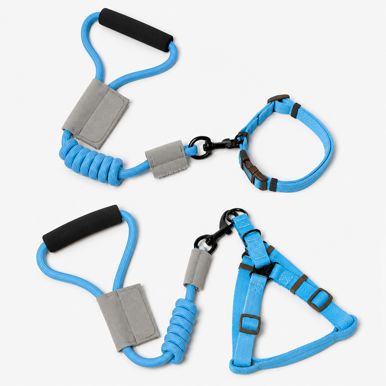 Dog Leash With Collar Or Harness