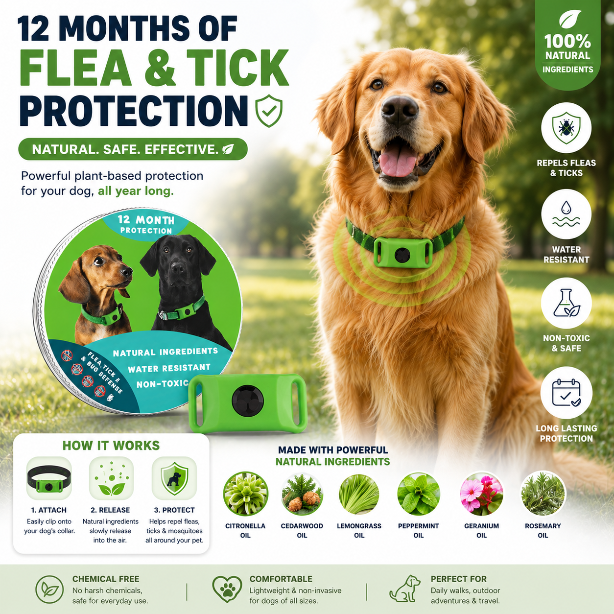 12 Months Flea, Tick & Bug Protection Collar