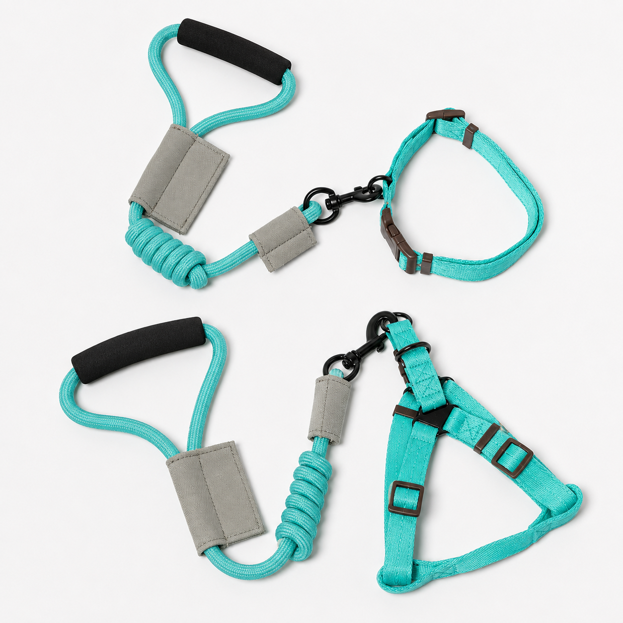 Dog Leash With Collar Or Harness