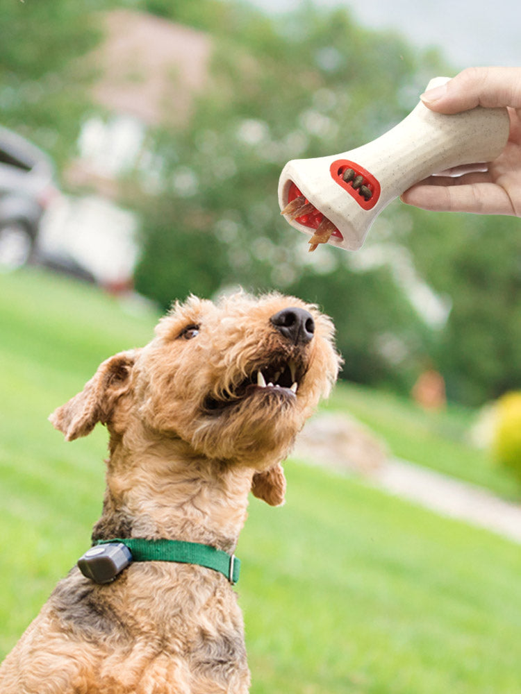 Dog Tooth & Bone Feeding Toy