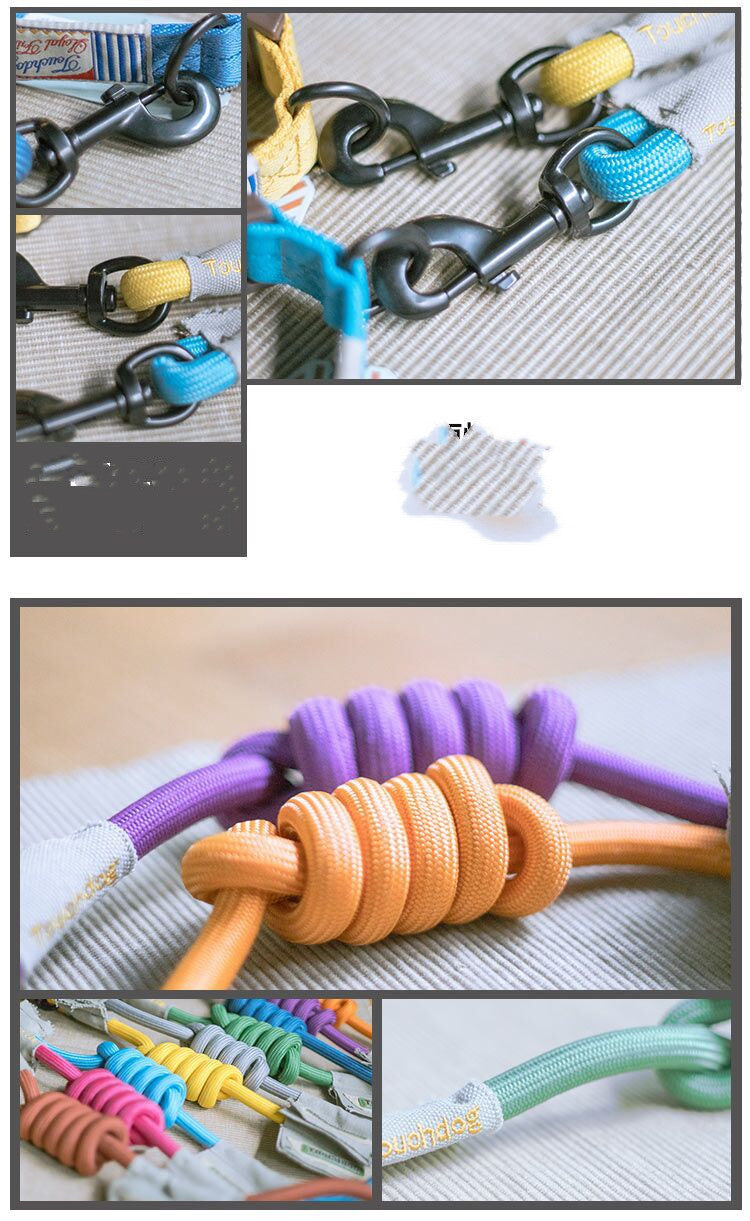 Dog Leash With Collar Or Harness