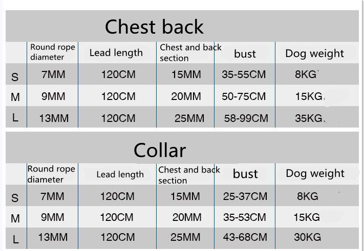 Dog Leash With Collar Or Harness