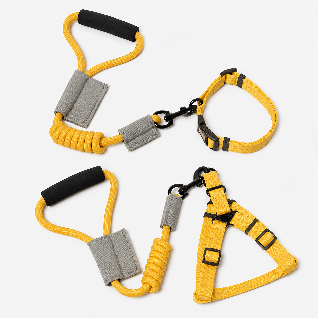 Dog Leash With Collar Or Harness