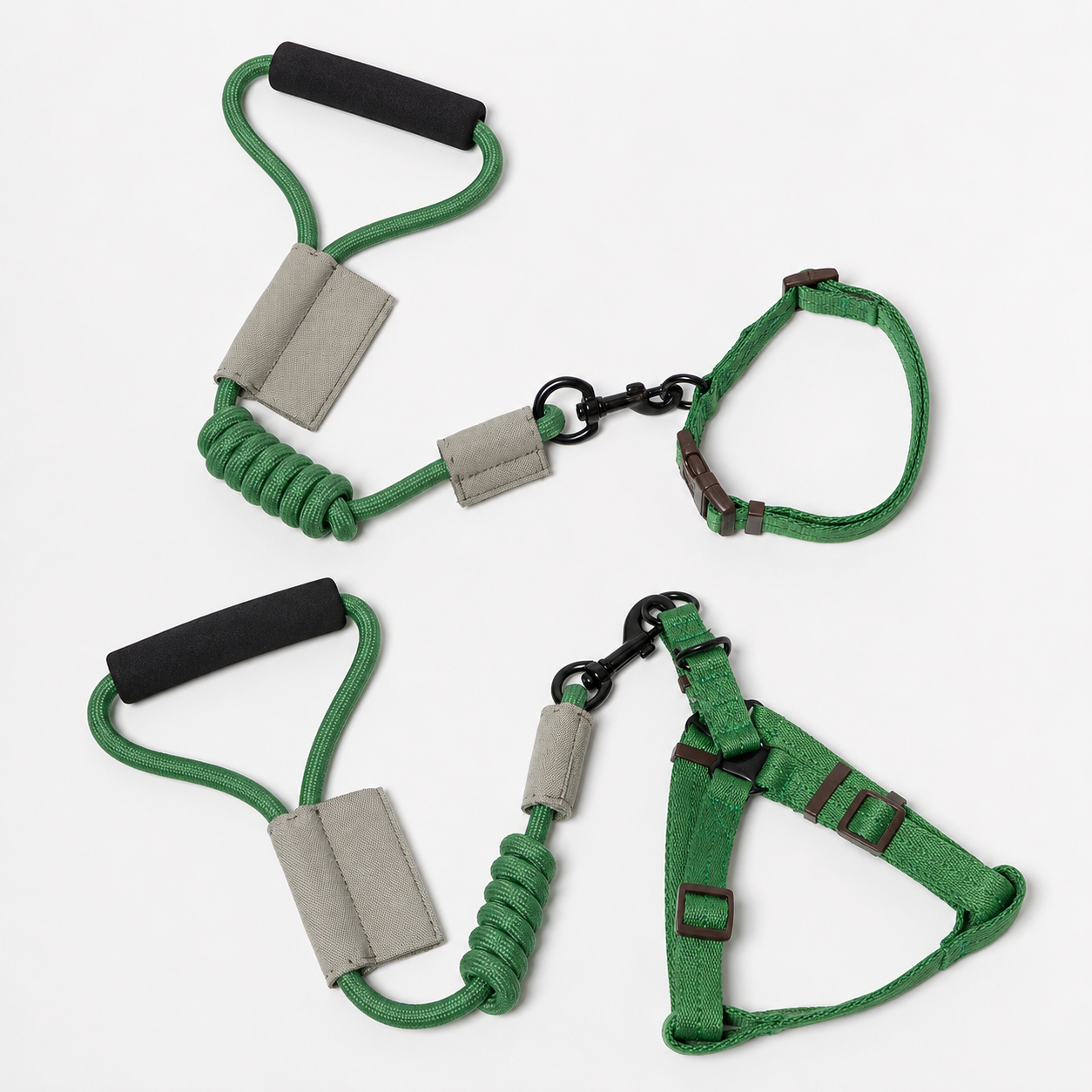 Dog Leash With Collar Or Harness
