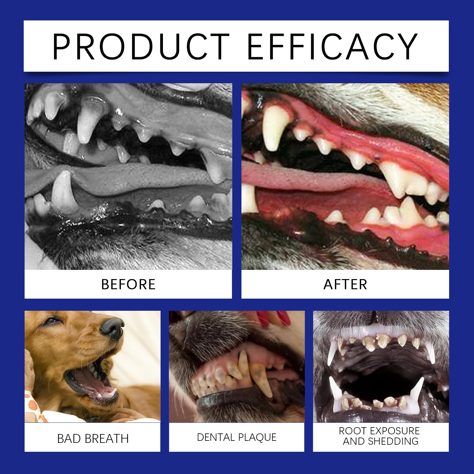 Dog Teeth Cleaning Powder