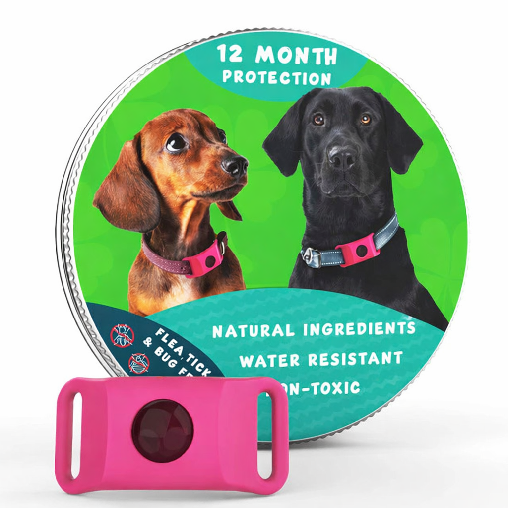 12 Months Flea, Tick & Bug Protection Collar