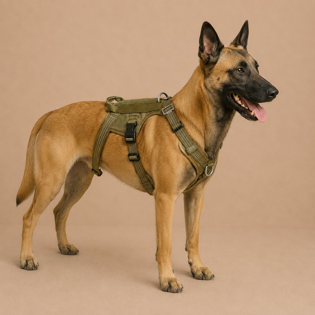 Dog Traction Rope Chest Strap