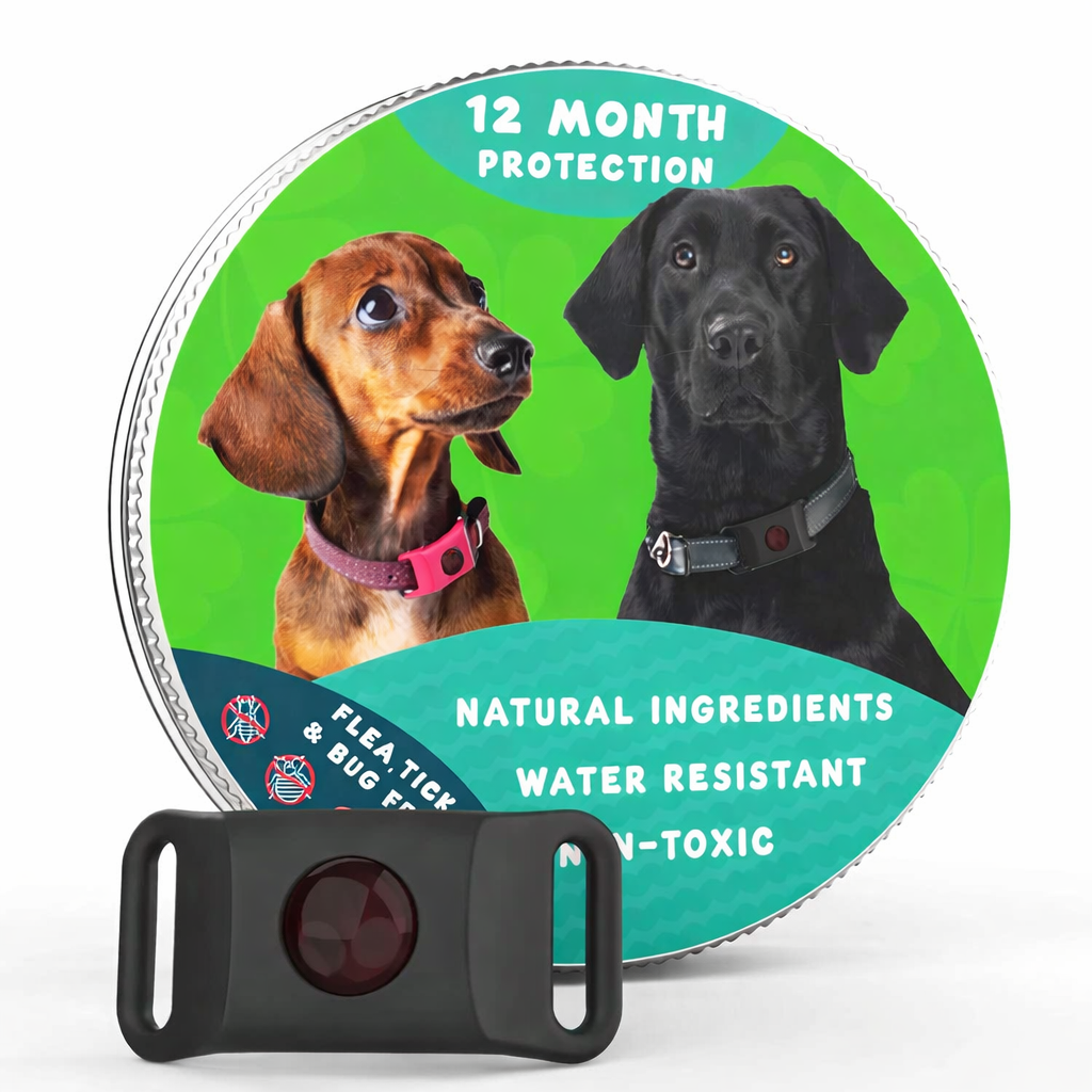12 Months Flea, Tick & Bug Protection Collar