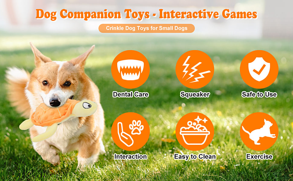 Squeaky Sea Turtle Plush Dog Toy