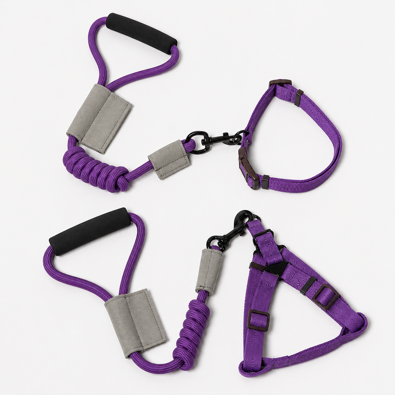 Dog Leash With Collar Or Harness