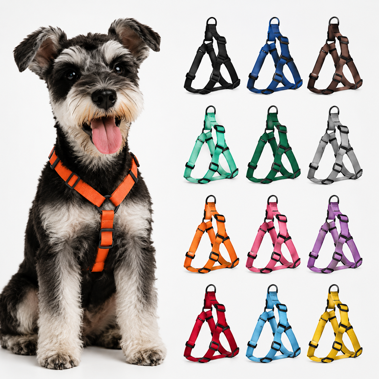 Dog Leash With Collar Or Harness