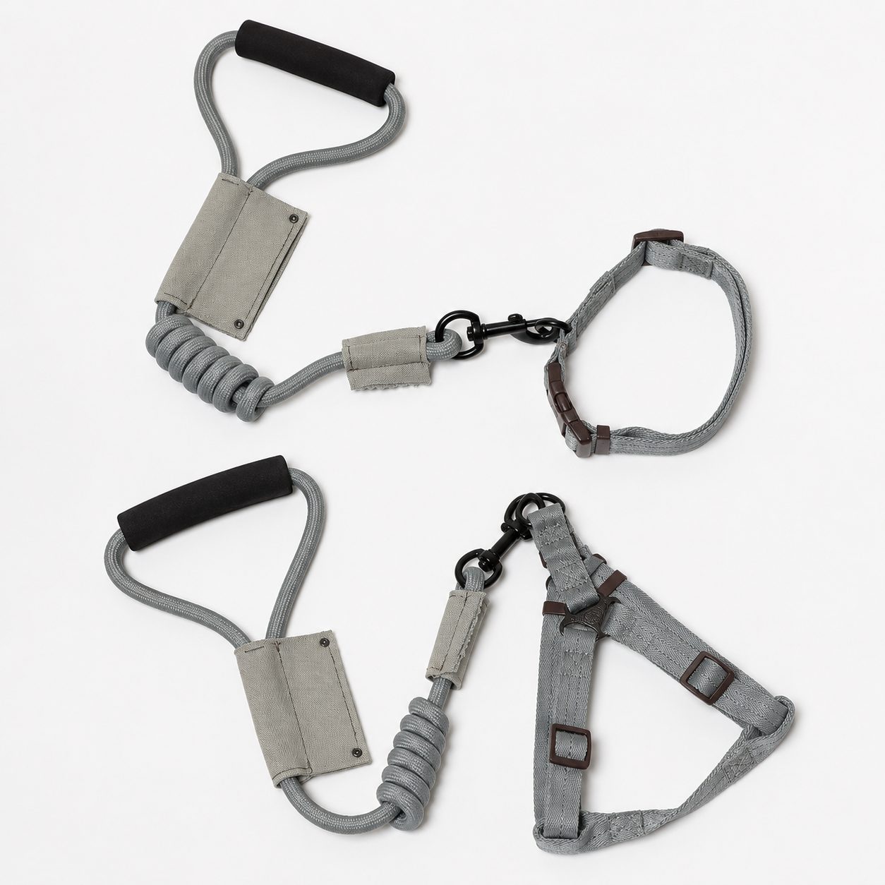 Dog Leash With Collar Or Harness