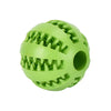 Rubber Ball Toy Feeder