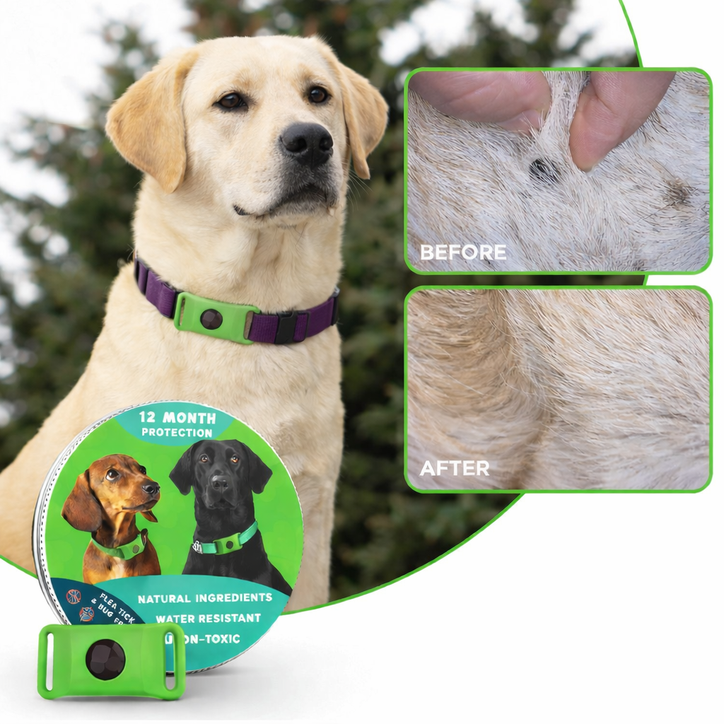 12 Months Flea, Tick & Bug Protection Collar