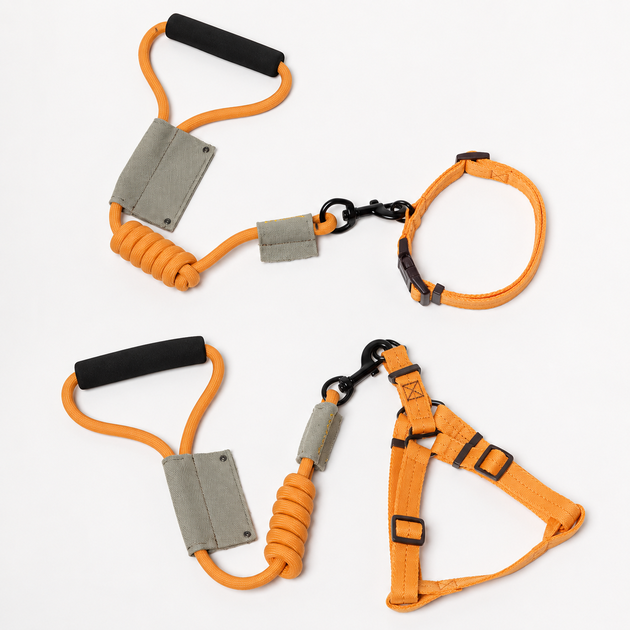 Dog Leash With Collar Or Harness